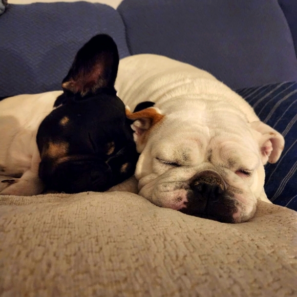 Meet your Posher, Kwoo - Picture 1 of 1